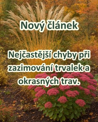 🌿 NEJČASTĚJŠÍ CHYBY PŘI ZAZIMOVÁNÍ TRVALEK A OKRASNÝCH TRAV ❄️ Zima může být pro trvalky a okrasné trávy zrádná. 🌬️ Špatné...