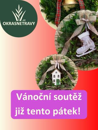🎄✨ Vánoční SOUTĚŽ už tento pátek! ✨🎄 Připravte se – blíží se naše sváteční soutěž o krásnou zimní dekoraci, která doladí...