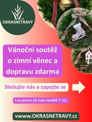 🎉 VÁNOČNÍ SOUTĚŽ 🎉 Vyhrajte ZIMNÍ VĚNEC - BRUSLE + dopravu zdarma až k vám domů! ❄️⛸️💌 🤍 Krásná zimní dekorace, která...
